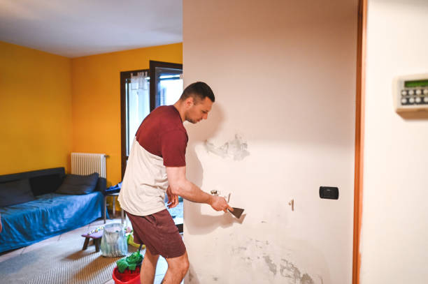 Best Emergency Mold Remediation in Trempealeau, WI